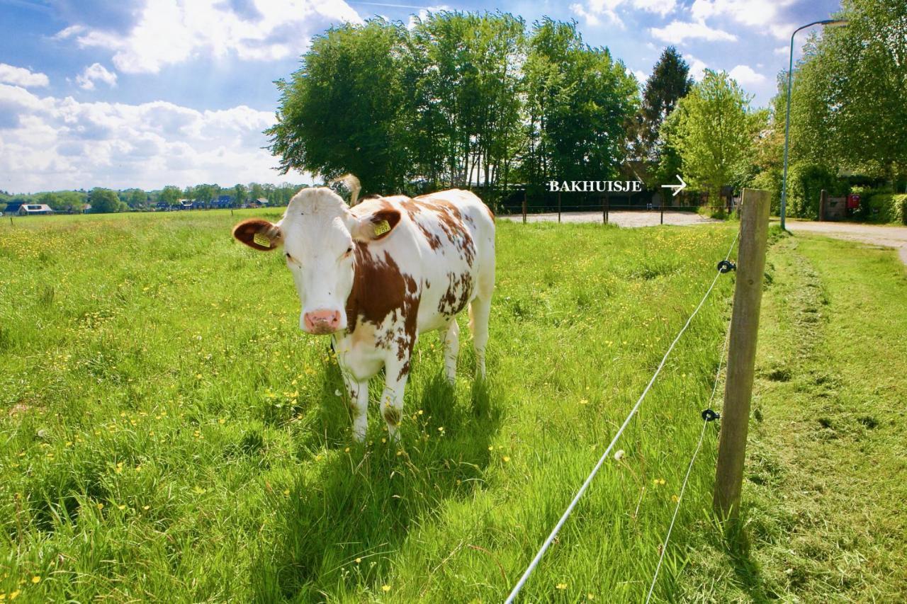 Bakhuisje Op De Veluwe Heerde 外观 照片