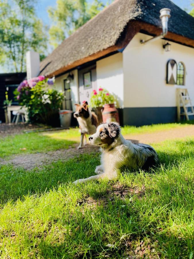 Bakhuisje Op De Veluwe Heerde 外观 照片